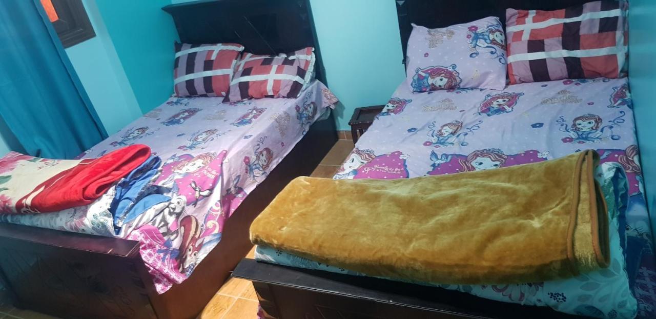 Mody Appartment At Αλεξάνδρεια Εξωτερικό φωτογραφία